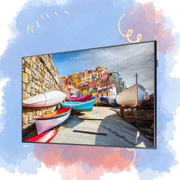 Samsung Professional Display 43 Inch